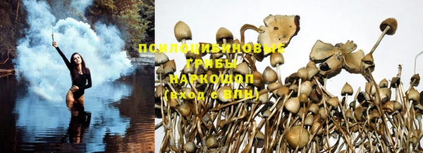 дживик Вяземский