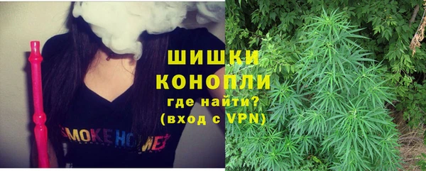 тгк Горнозаводск