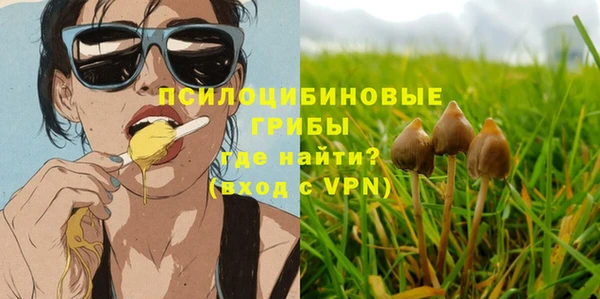 a pvp Горняк