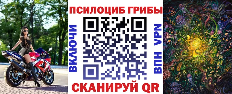Псилоцибиновые грибы Psilocybine cubensis  Заволжье 